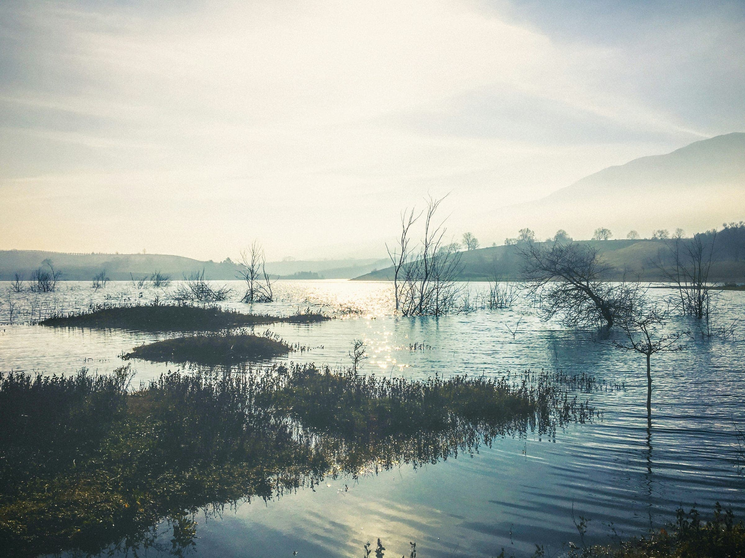Still water and low hills under a pale sky at first light