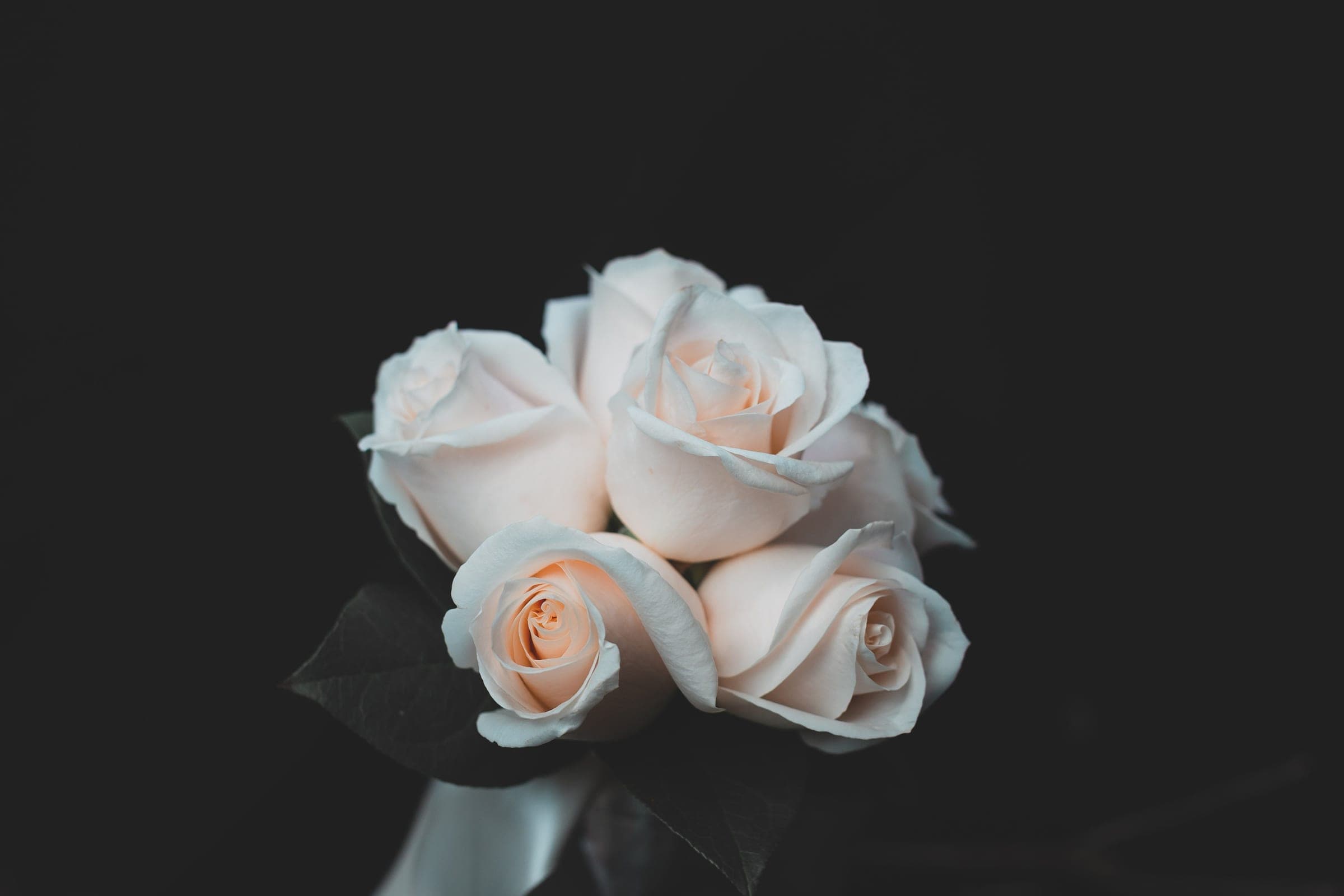 A small arrangement of cream and white roses against a dark background